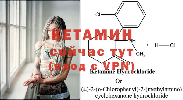 шишки Пересвет