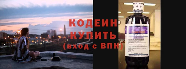 шишки Пересвет