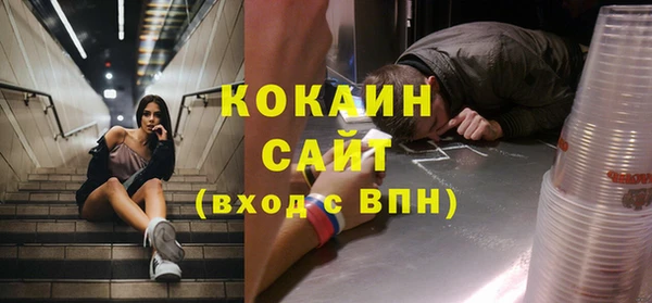 шишки Пересвет