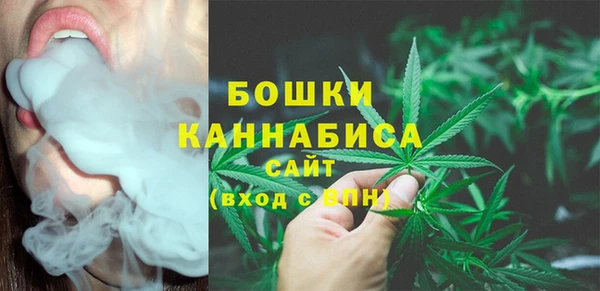 spice Абаза